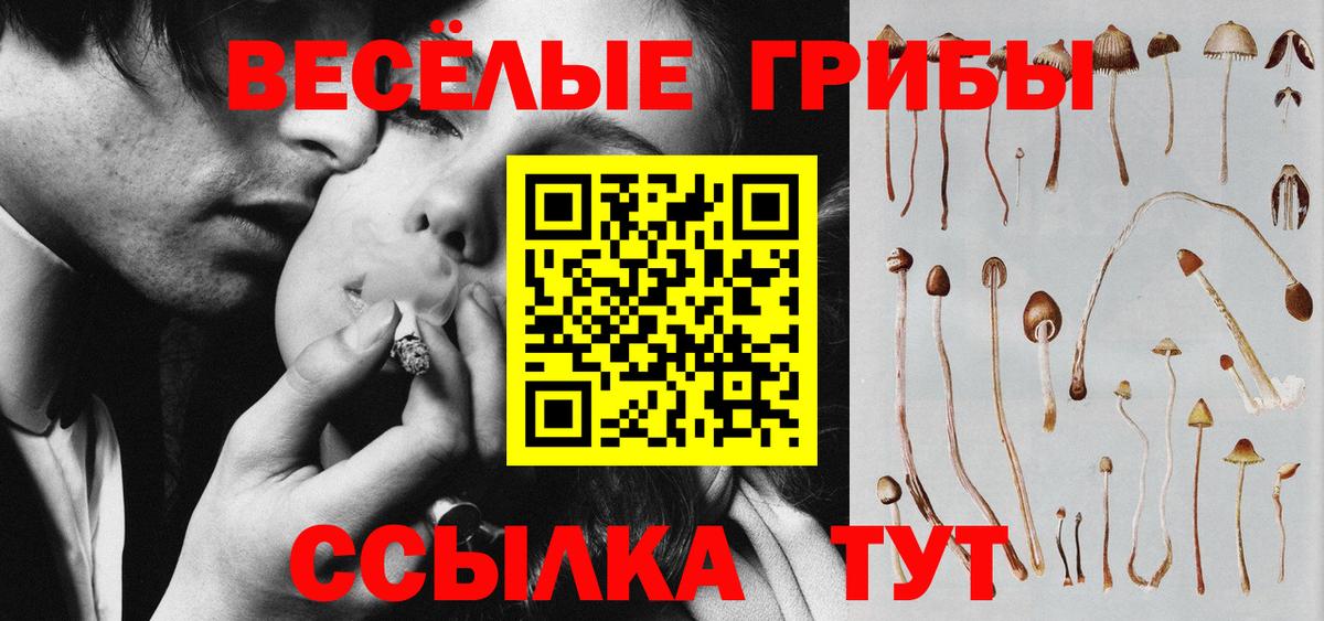 Псилоцибиновые грибы мухоморы Междуреченск